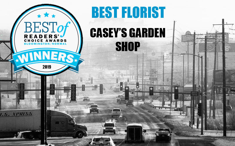 Best Florist